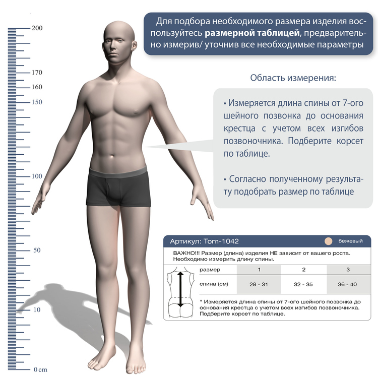 Корректор осанки TOM-1042 Экотен, умеренная фиксация купить в OrtoMir24